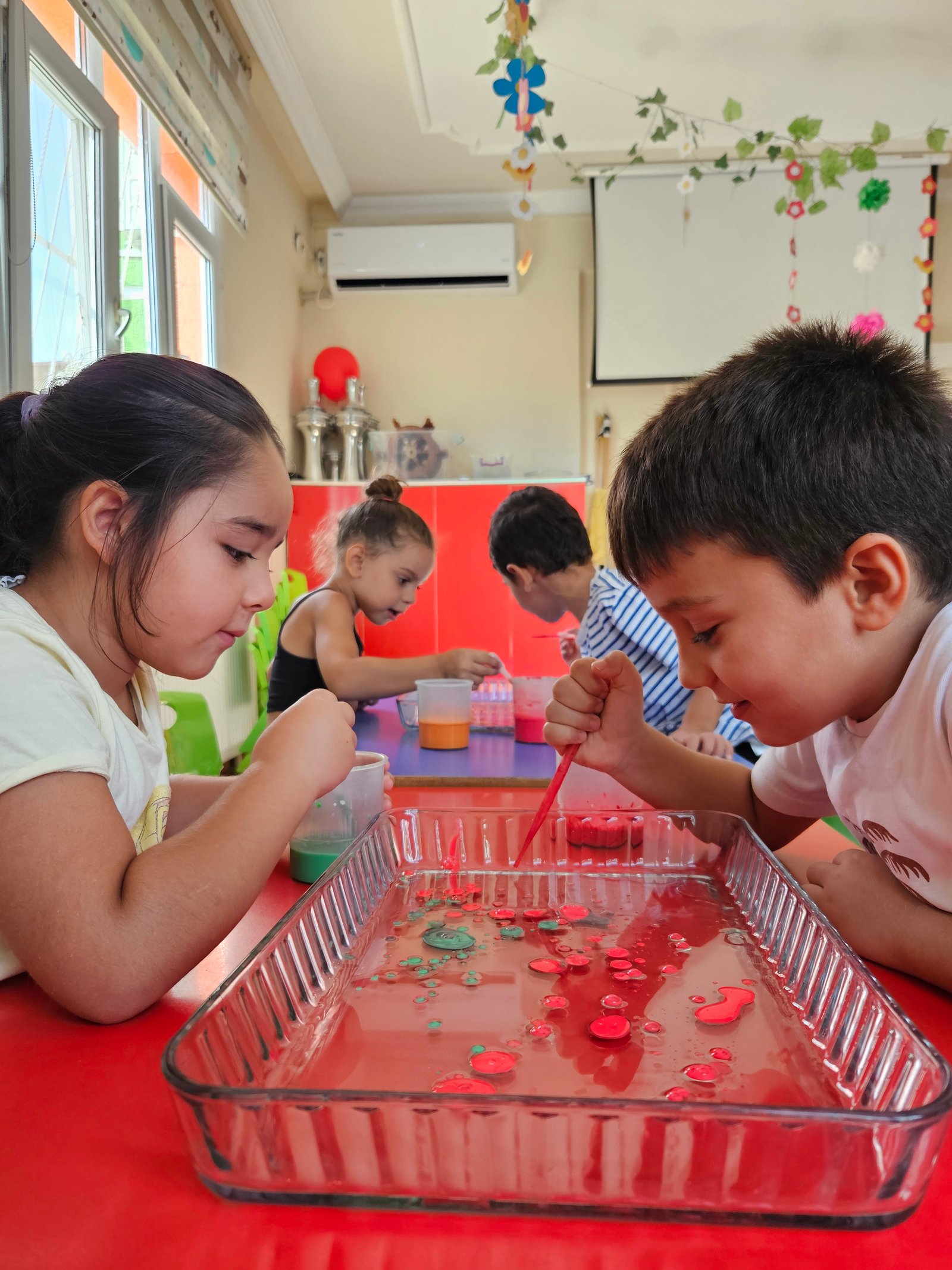 jh Galeri Görselleri